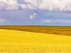 九游电竞官网基地展示4