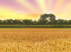 九游电竞官网基地展示3