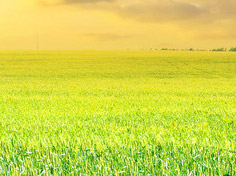 九游电竞官网基地展示1